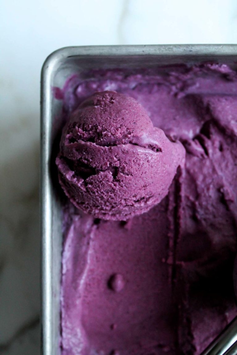 Fresh Blueberry Ice Cream (Vegan) - Katiebird Bakes