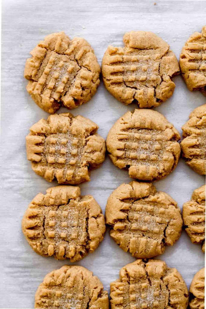 rows of baked peanut butter cookies arranged on a white background